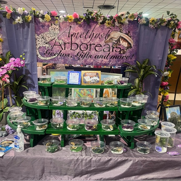 Meet your Posher, Anne - Picture 2 of 11